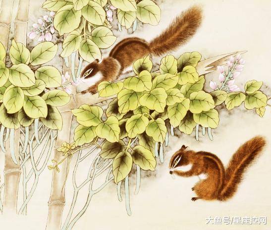 今期特码大林木 生肖头上有红波打一生肖请全面释义、解释与落实、科学解答解释落实